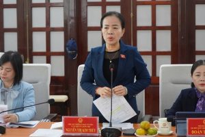 Huế thực hiện tốt 6 chỉ tiêu về bình đẳng giới